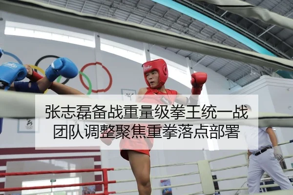 张志磊备战重量级拳王统一战 团队调整聚焦重拳落点部署