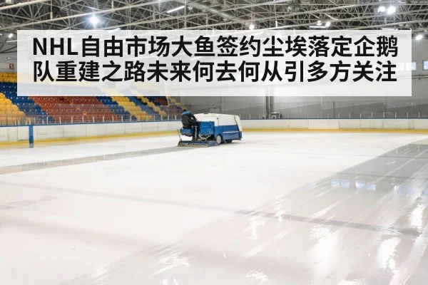 NHL自由市场大鱼签约尘埃落定企鹅队重建之路未来何去何从引多方关注