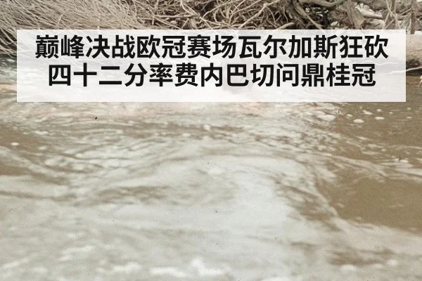 巅峰决战欧冠赛场瓦尔加斯狂砍四十二分率费内巴切问鼎桂冠
